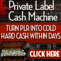 PLR Cash Machine - make money with PLR private label rights