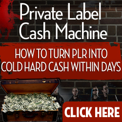 PLR Cash Machine - make money with PLR private label rights